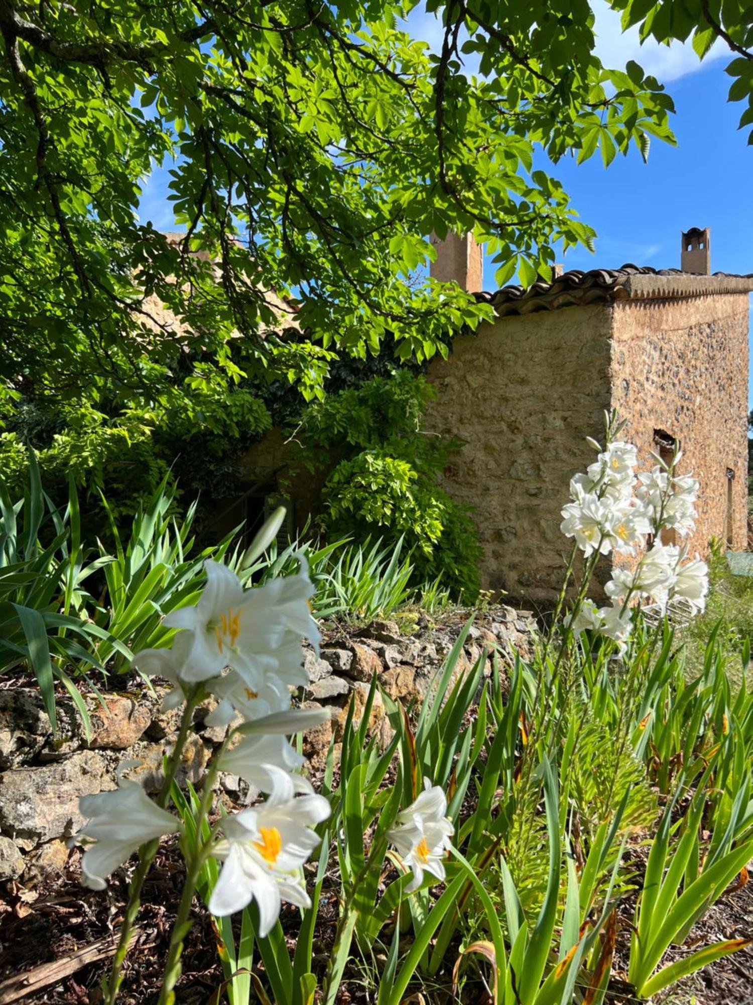 Charmant Appartement Independant Au Sein D'Un Mas Provencal Aups Exterior foto